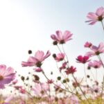 A guide to menopause symptoms - Dr Ash - Medical Prime UK
